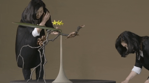 japan flowers GIF by NOWNESS