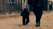 Made In Chelsea Episode 3 GIF by E4