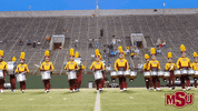 MSUTexas college university msu mustangs GIF