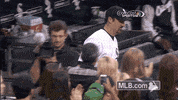 cws GIF by MLB