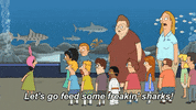 Shark Tank Aquarium GIF by Bob's Burgers