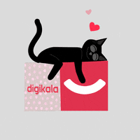 mojician cat گربه digikala GIF
