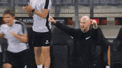 Europa League Win GIF by SK Sturm Graz