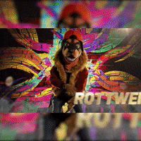 Fox GIF by The Masked Singer