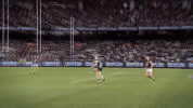 carlton fc GIF by Carlton Football Club