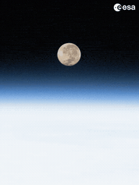 International Space Station Astronaut GIF by European Space Agency - ESA