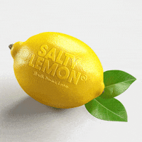 salty-lemon saltylemon GIF