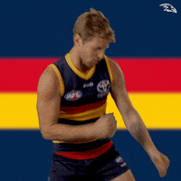 Afl Celebrate GIF by Adelaide Crows