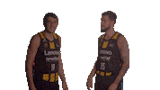 Liga Endesa Win Sticker by ACB