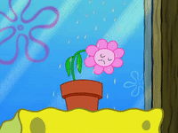 season 7 episode 25 GIF by SpongeBob SquarePants