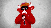 benny the bull reaction pack GIF by Chicago Bulls