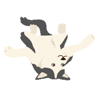 SollaMascotas love happy party dog Sticker