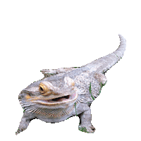 aaaaa STICKER by imoji