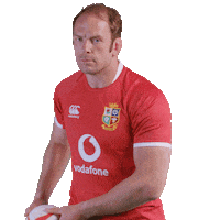British And Irish Lions Sticker by VodafoneUK