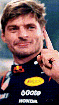 Max Verstappen GIF