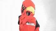 Coop Scarlet GIF by Saginaw Valley State University