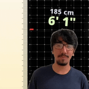 6' 1"