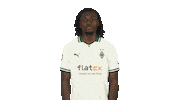 Borussia Monchengladbach Smile Sticker by Bundesliga