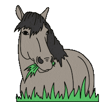 AnMyVisuals horse anmyvisuals Sticker