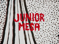 Music Video Diva GIF by Junior Mesa