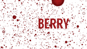 KCBerry microcement kcberry decorative coating GIF