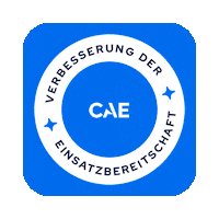 German Deutsch Sticker by CAE