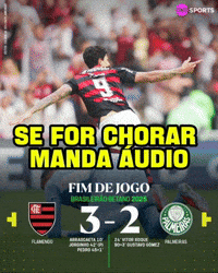 Palmeiras GIF