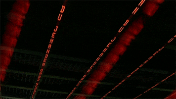 contemporary art installation GIF by Art21