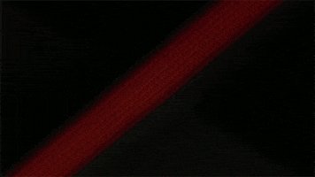 contemporary art installation GIF by Art21