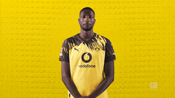 Borussia Dortmund Football GIF by Bundesliga