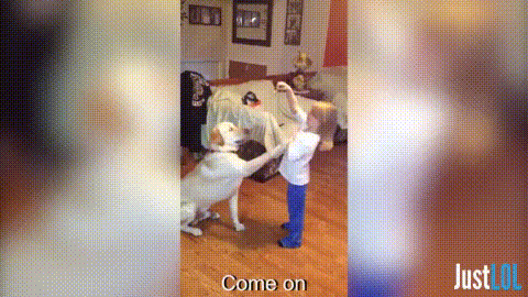 try not to laugh great dane GIF by Unreel Entertainment