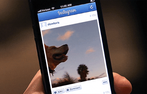 instagram GIF