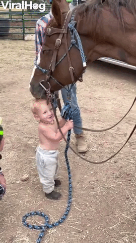 15-Month-Old Loving on His Horse Blake
