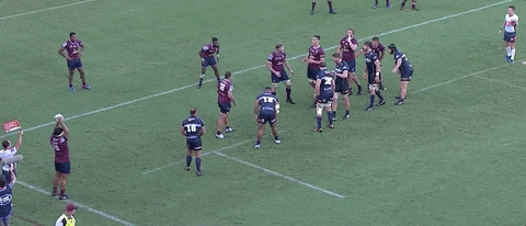 brumbies try GIF