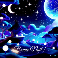 Full Moon Bonne Nuit GIF by TresorsDuMonde.ca