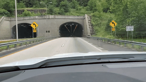 gsriley1 giphyupload GIF