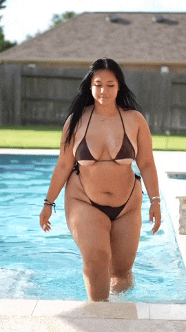 vilecoyote giphyupload GIF