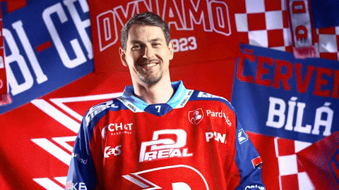 Tomas Dvorak GIF by HC Dynamo Pardubice