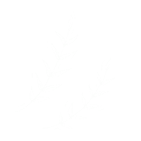 Lines Branco Sticker