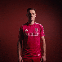 Stl GIF by St. Louis CITY SC