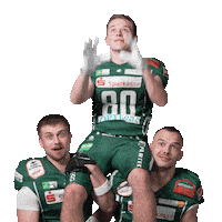 Football Catch Sticker by Schwäbisch Hall Unicorns