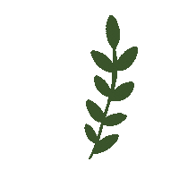 Leaf Daun Sticker