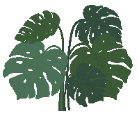 Ulinnsyifaullinnas plant garden leaf monstera Sticker