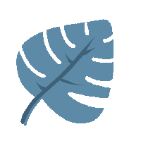 Leaf Monstera Sticker