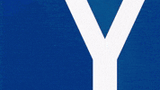 Soccer Goal GIF by Karlsruher SC