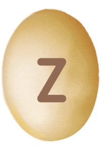 Chocolate Z Sticker by conguitos
