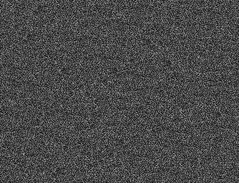 Art Artist GIF