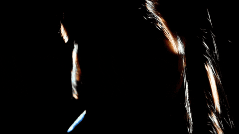 Sub Pop Lights GIF by Sub Pop Records