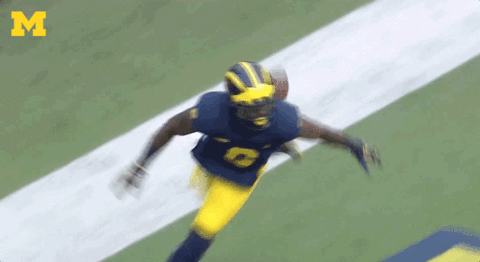 College Football Mood GIF by Michigan Athletics