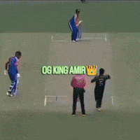 India King GIF